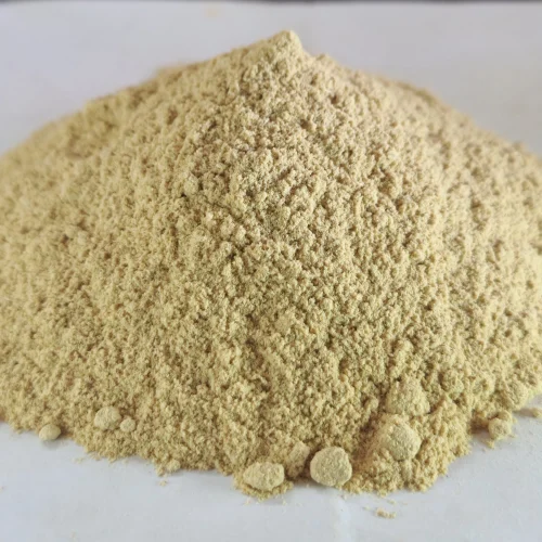 shatavri-powder